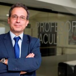 Prof. Dr. Rafael Asís Roig